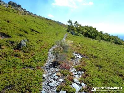 Ocejón - Sierra de Ayllón; viajes diciembre pedriza rutas viajes julio viajes de trekking